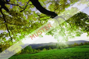 muster_550x367